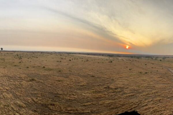 Landschap van de Serengeti met daarboven luchtballonnen